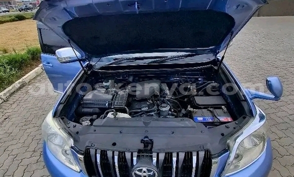 Oofamaa Toyota Prado Other Makiinaa iti Bute keessatti Northeast Kenya keessatti Oofamaa Toyota Prado Other Makiinaa iti Bute keessatti Northeast Kenya keessatti