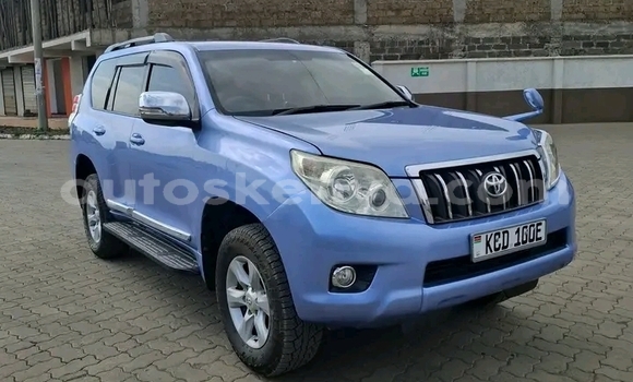 Oofamaa Toyota Prado Other Makiinaa iti Bute keessatti Northeast Kenya keessatti Oofamaa Toyota Prado Other Makiinaa iti Bute keessatti Northeast Kenya keessatti