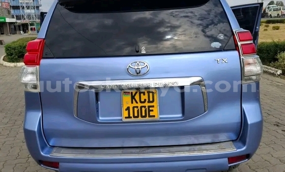 Oofamaa Toyota Prado Other Makiinaa iti Bute keessatti Northeast Kenya keessatti Oofamaa Toyota Prado Other Makiinaa iti Bute keessatti Northeast Kenya keessatti