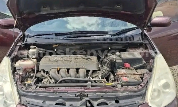 Oofamaa Toyota Wish Red Makiinaa iti Bute keessatti Northeast Kenya keessatti Oofamaa Toyota Wish Red Makiinaa iti Bute keessatti Northeast Kenya keessatti