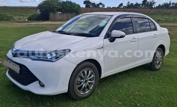 Oofamaa Toyota Axio White Makiinaa iti Bute keessatti Northeast Kenya keessatti Oofamaa Toyota Axio White Makiinaa iti Bute keessatti Northeast Kenya keessatti