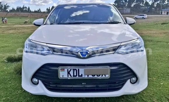 Oofamaa Toyota Axio White Makiinaa iti Bute keessatti Northeast Kenya keessatti Oofamaa Toyota Axio White Makiinaa iti Bute keessatti Northeast Kenya keessatti