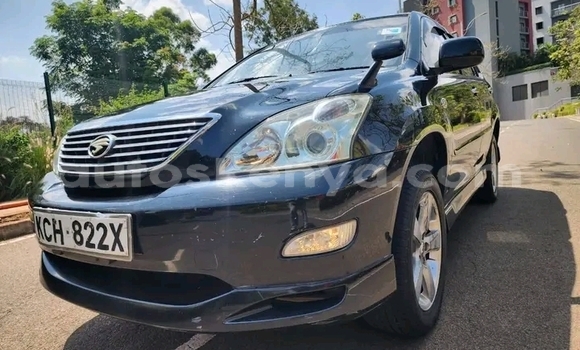 Oofamaa Toyota Harrier Black Makiinaa iti Bute keessatti Northeast Kenya keessatti Oofamaa Toyota Harrier Black Makiinaa iti Bute keessatti Northeast Kenya keessatti