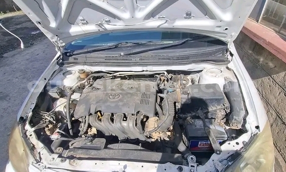 Buy Used Toyota Runx White Car in Bute in Northeast Kenya