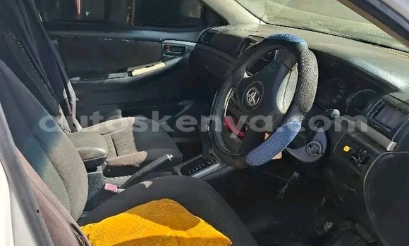 Oofamaa Toyota Runx White Makiinaa iti Bute keessatti Northeast Kenya keessatti Oofamaa Toyota Runx White Makiinaa iti Bute keessatti Northeast Kenya keessatti