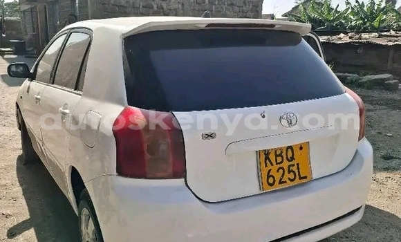 Oofamaa Toyota Runx White Makiinaa iti Bute keessatti Northeast Kenya keessatti Oofamaa Toyota Runx White Makiinaa iti Bute keessatti Northeast Kenya keessatti