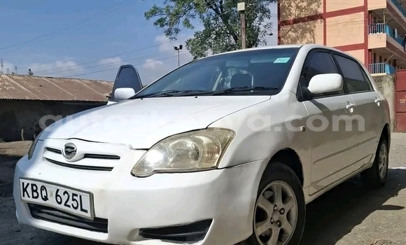 Oofamaa Toyota Runx White Makiinaa iti Bute keessatti Northeast Kenya keessatti Oofamaa Toyota Runx White Makiinaa iti Bute keessatti Northeast Kenya keessatti