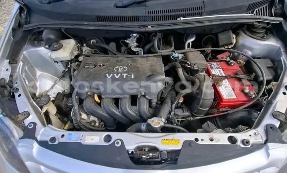 Oofamaa Toyota IST Other Makiinaa iti Bute keessatti Northeast Kenya keessatti Oofamaa Toyota IST Other Makiinaa iti Bute keessatti Northeast Kenya keessatti