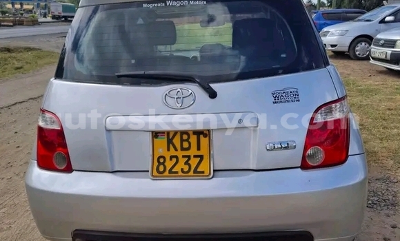 Oofamaa Toyota IST Other Makiinaa iti Bute keessatti Northeast Kenya keessatti Oofamaa Toyota IST Other Makiinaa iti Bute keessatti Northeast Kenya keessatti