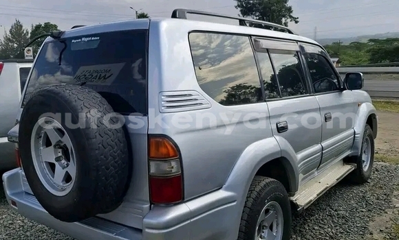 Nunua Ilio tumika Toyota Prado Nyeupe Gari ndani ya Bute nchini Kaskazini Mashariki mwa Kenya Nunua Ilio tumika Toyota Prado Nyeupe Gari ndani ya Bute nchini Kaskazini Mashariki mwa Kenya