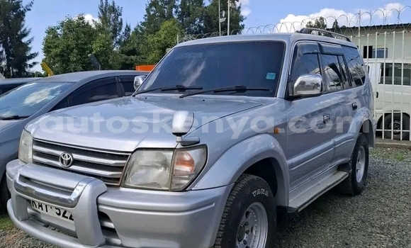 Nunua Ilio tumika Toyota Prado Nyeupe Gari ndani ya Bute nchini Kaskazini Mashariki mwa Kenya Nunua Ilio tumika Toyota Prado Nyeupe Gari ndani ya Bute nchini Kaskazini Mashariki mwa Kenya