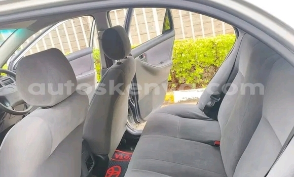 Oofamaa Toyota Nadia Other Makiinaa iti Bute keessatti Northeast Kenya keessatti Oofamaa Toyota Nadia Other Makiinaa iti Bute keessatti Northeast Kenya keessatti