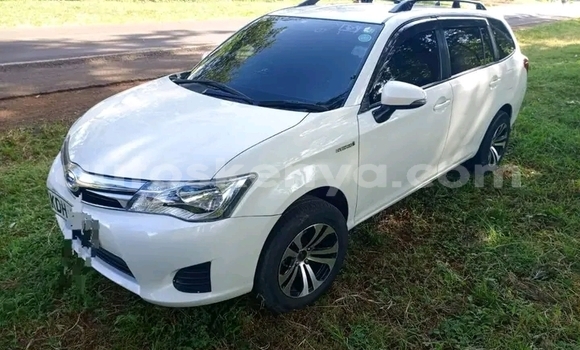 Nunua Ilio tumika Toyota Fielder Nyeupe Gari ndani ya Bute nchini Kaskazini Mashariki mwa Kenya Nunua Ilio tumika Toyota Fielder Nyeupe Gari ndani ya Bute nchini Kaskazini Mashariki mwa Kenya