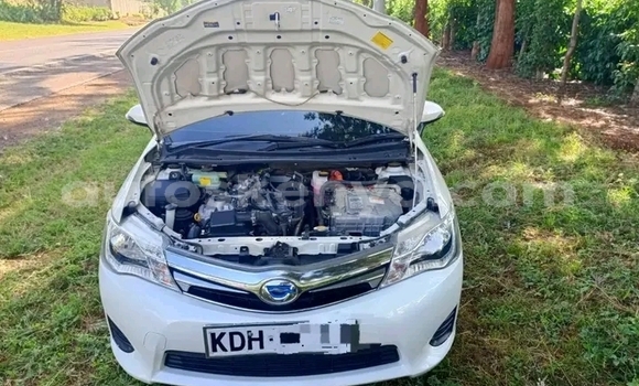 Nunua Ilio tumika Toyota Fielder Nyeupe Gari ndani ya Bute nchini Kaskazini Mashariki mwa Kenya Nunua Ilio tumika Toyota Fielder Nyeupe Gari ndani ya Bute nchini Kaskazini Mashariki mwa Kenya