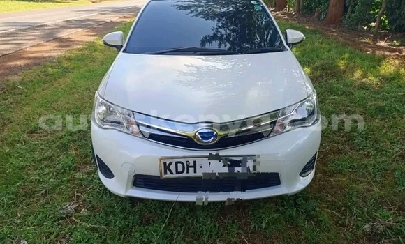 Nunua Ilio tumika Toyota Fielder Nyeupe Gari ndani ya Bute nchini Kaskazini Mashariki mwa Kenya Nunua Ilio tumika Toyota Fielder Nyeupe Gari ndani ya Bute nchini Kaskazini Mashariki mwa Kenya