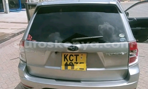 Oofamaa Subaru Forester Other Makiinaa iti Bute keessatti Northeast Kenya keessatti