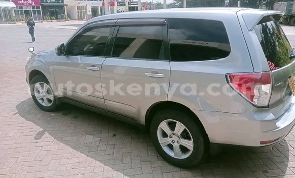 Nunua Ilio tumika Subaru Forester Nyingine Gari ndani ya Bute nchini Kaskazini Mashariki mwa Kenya Nunua Ilio tumika Subaru Forester Nyingine Gari ndani ya Bute nchini Kaskazini Mashariki mwa Kenya