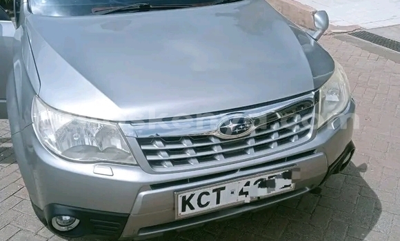 Nunua Ilio tumika Subaru Forester Nyingine Gari ndani ya Bute nchini Kaskazini Mashariki mwa Kenya Nunua Ilio tumika Subaru Forester Nyingine Gari ndani ya Bute nchini Kaskazini Mashariki mwa Kenya