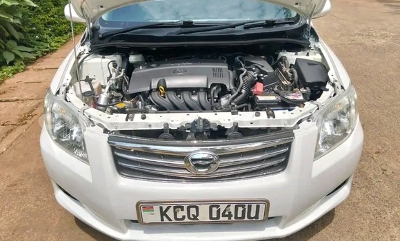 Oofamaa Toyota Axio White Makiinaa iti Bute keessatti Northeast Kenya keessatti