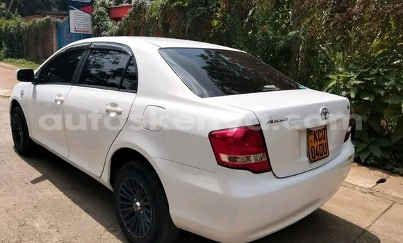 Nunua Ilio tumika Toyota Axio Nyeupe Gari ndani ya Bute nchini Kaskazini Mashariki mwa Kenya Nunua Ilio tumika Toyota Axio Nyeupe Gari ndani ya Bute nchini Kaskazini Mashariki mwa Kenya