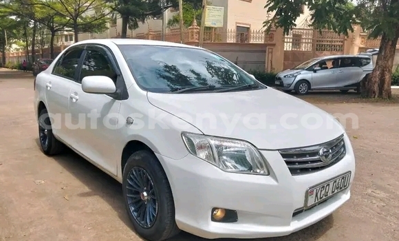 Nunua Ilio tumika Toyota Axio Nyeupe Gari ndani ya Bute nchini Kaskazini Mashariki mwa Kenya Nunua Ilio tumika Toyota Axio Nyeupe Gari ndani ya Bute nchini Kaskazini Mashariki mwa Kenya