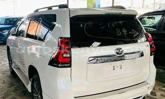 Nunua Ilio tumika Toyota Prado Nyeupe Gari ndani ya Bute nchini Kaskazini Mashariki mwa Kenya Nunua Ilio tumika Toyota Prado Nyeupe Gari ndani ya Bute nchini Kaskazini Mashariki mwa Kenya