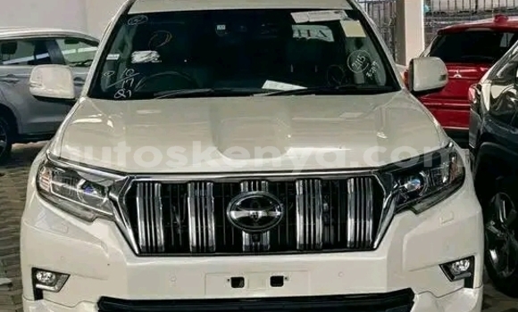 Nunua Ilio tumika Toyota Prado Nyeupe Gari ndani ya Bute nchini Kaskazini Mashariki mwa Kenya Nunua Ilio tumika Toyota Prado Nyeupe Gari ndani ya Bute nchini Kaskazini Mashariki mwa Kenya