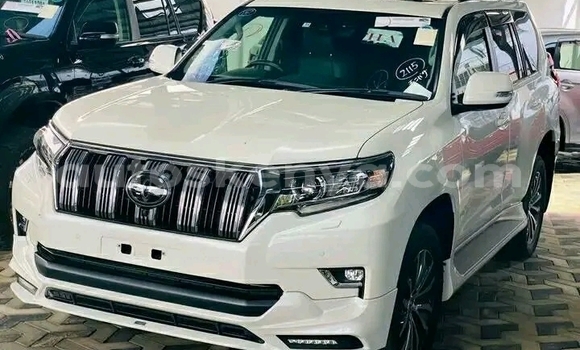 Nunua Ilio tumika Toyota Prado Nyeupe Gari ndani ya Bute nchini Kaskazini Mashariki mwa Kenya Nunua Ilio tumika Toyota Prado Nyeupe Gari ndani ya Bute nchini Kaskazini Mashariki mwa Kenya