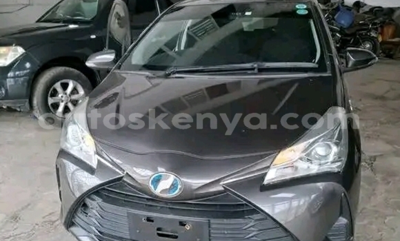 Nunua Ilio tumika Toyota Vitz Nyingine Gari ndani ya Bute nchini Kaskazini Mashariki mwa Kenya Nunua Ilio tumika Toyota Vitz Nyingine Gari ndani ya Bute nchini Kaskazini Mashariki mwa Kenya