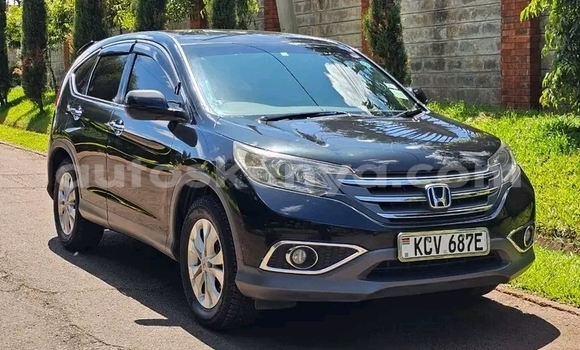 Oofamaa Honda CR–V Black Makiinaa iti Bute keessatti Northeast Kenya keessatti