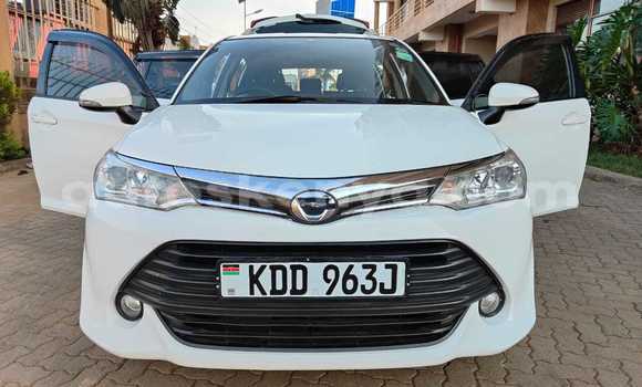 Buy Used Toyota Fielder White Car in Nairobi in Nairobi