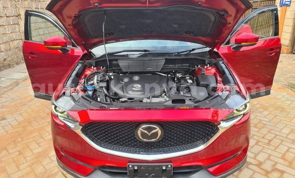 Buy Used Mazda CX-5 Red Car in Nairobi in Nairobi Buy Used Mazda CX-5 Red Car in Nairobi in Nairobi