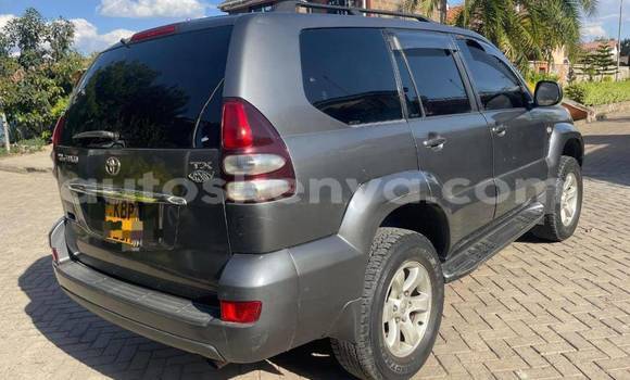 Nunua Ilio tumika Toyota Prado Nyingine Gari ndani ya Bute nchini Kaskazini Mashariki mwa Kenya Nunua Ilio tumika Toyota Prado Nyingine Gari ndani ya Bute nchini Kaskazini Mashariki mwa Kenya