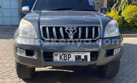 Nunua Ilio tumika Toyota Prado Nyingine Gari ndani ya Bute nchini Kaskazini Mashariki mwa Kenya Nunua Ilio tumika Toyota Prado Nyingine Gari ndani ya Bute nchini Kaskazini Mashariki mwa Kenya