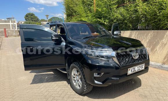 Nunua Ilio tumika Toyota Prado Nyeusi Gari ndani ya Nairobi nchini Nairobi Nunua Ilio tumika Toyota Prado Nyeusi Gari ndani ya Nairobi nchini Nairobi
