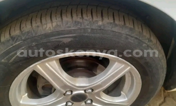 Buy Used Ford Escape White Car in Bute in Northeast Kenya