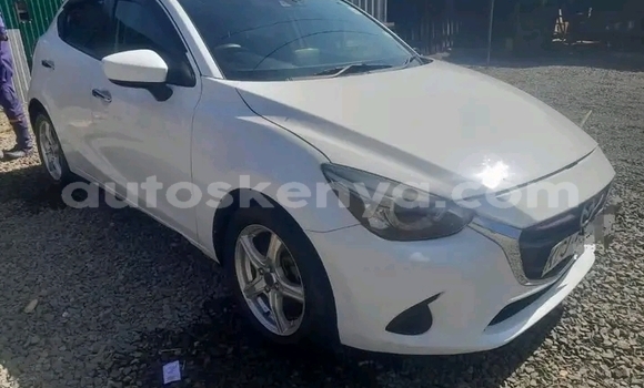 Buy Used Ford Escape White Car in Bute in Northeast Kenya Buy Used Ford Escape White Car in Bute in Northeast Kenya