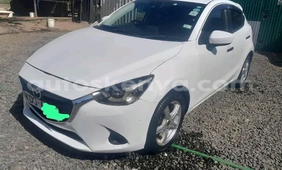 Buy Used Ford Escape White Car in Bute in Northeast Kenya Buy Used Ford Escape White Car in Bute in Northeast Kenya