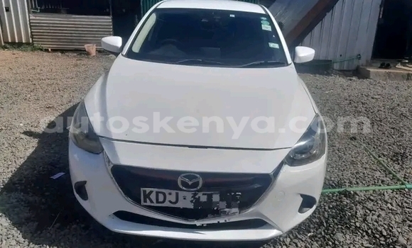 Buy Used Ford Escape White Car in Bute in Northeast Kenya Buy Used Ford Escape White Car in Bute in Northeast Kenya