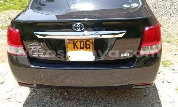 Buy Used Toyota Axio Black Car in Olkejuado in Nairobi Buy Used Toyota Axio Black Car in Olkejuado in Nairobi