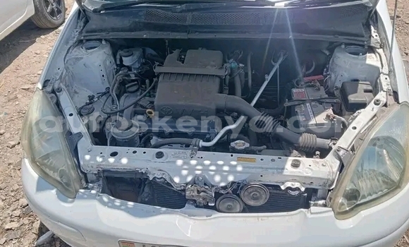 Buy Used Toyota Vitz White Car in Garsen in Coast Buy Used Toyota Vitz White Car in Garsen in Coast