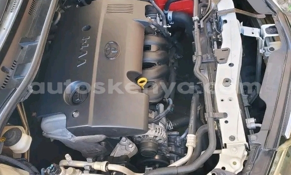 Oofamaa Toyota Auris White Makiinaa iti Bute keessatti Northeast Kenya keessatti