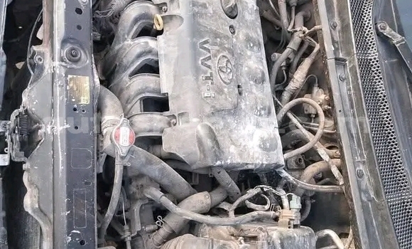 Buy Used Toyota Vitz Black Car in Bute in Northeast Kenya