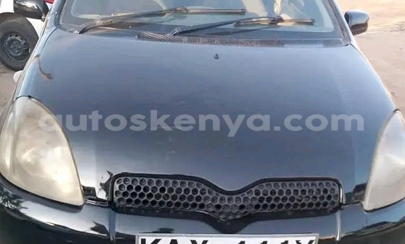 Buy Used Toyota Vitz Black Car in Bute in Northeast Kenya Buy Used Toyota Vitz Black Car in Bute in Northeast Kenya