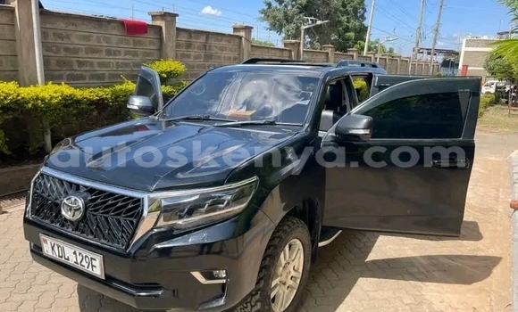 Buy Used Toyota Prado Black Car in Bute in Northeast Kenya Buy Used Toyota Prado Black Car in Bute in Northeast Kenya