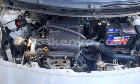 Buy Used Toyota Vitz White Car in Bute in Northeast Kenya Buy Used Toyota Vitz White Car in Bute in Northeast Kenya