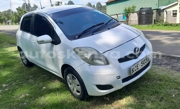 Buy Used Toyota Vitz White Car in Bute in Northeast Kenya Buy Used Toyota Vitz White Car in Bute in Northeast Kenya