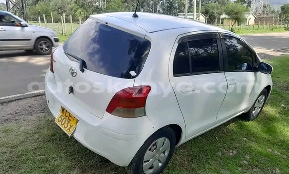 Buy Used Toyota Vitz White Car in Bute in Northeast Kenya Buy Used Toyota Vitz White Car in Bute in Northeast Kenya