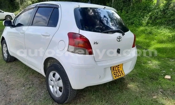 Buy Used Toyota Vitz White Car in Bute in Northeast Kenya Buy Used Toyota Vitz White Car in Bute in Northeast Kenya