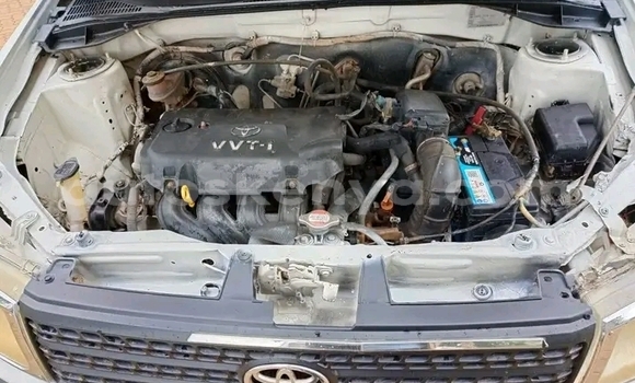 Buy Used Toyota Probox White Car in Bute in Northeast Kenya Buy Used Toyota Probox White Car in Bute in Northeast Kenya